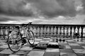41 - La bicyclette - BUGLI PIETRO - italy